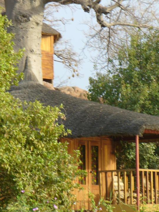 Image de Voyages. Si tu aimes la nature et les animaux, je te conseille l'écolodge Ile du Lamatin à Bammouti, au cœur du Niger, sur l'un des fleuves les plus majestueux d'Afrique, dans le Parc National du W, c'est superbe!